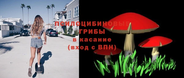 ГАЛЛЮЦИНОГЕННЫЕ ГРИБЫ Аркадак