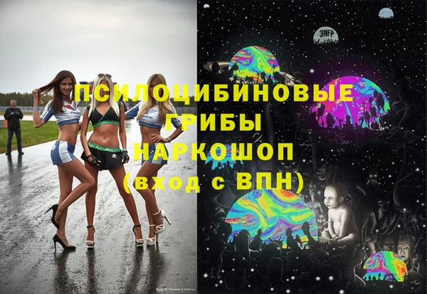 мдпв Арсеньев