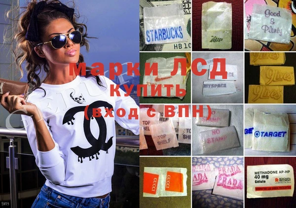 ГАЛЛЮЦИНОГЕННЫЕ ГРИБЫ Аркадак