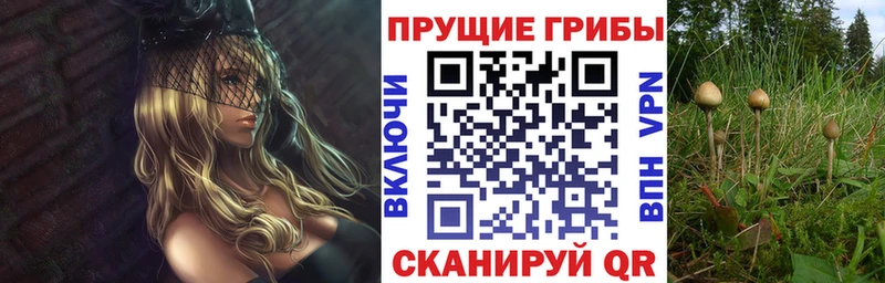 Галлюциногенные грибы GOLDEN TEACHER  Петровск 